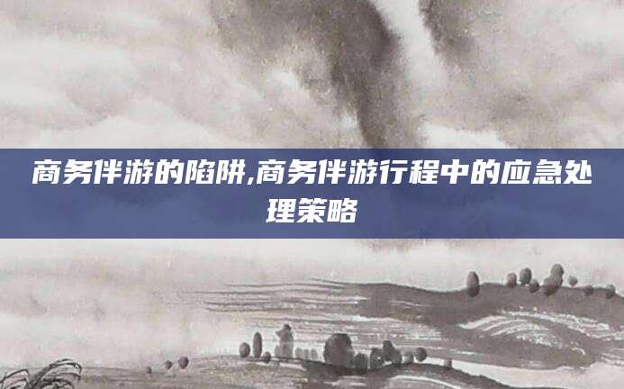 公主岭商务伴游的陷阱,商务伴游行程中的应急处理策略